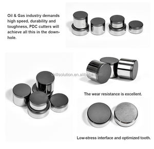 2026 Drillsoltek Cortadores <span class=keywords><strong>PDC</strong></span> de Diamante de Alta Abrasão para Proteção de Calibres |   Processamento por Forjamento para Brocas Tricone e <span class=keywords><strong>PDC</strong></span> para Mineração de Carvão - Product Image 6