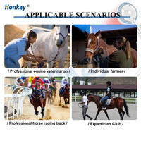 Sistema de Terapia PEMF Equina Veterinaria de Nueva Generación, Dispositivo Portátil de Terapia Magnética y Láser para Rehabilitación