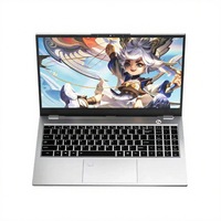 AMD Laptops, gloednieuw, AMD Ryzen 5 laptop, 15,6 inch gaming/business laptop