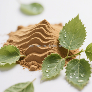 Toptan 1-DNJ 1% gıda sınıfı dut yaprağı ekstresi HACCP sertifikalı özel etiket ambalaj tozu formu bitki özü ürün - Product Image 5