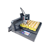 Automatisch multi-kleuren inkjet eieren houdbaarheidsdatum printmachine codeersysteem voor gebruik op boerderijen, Tij plaattype voor metaalcodering