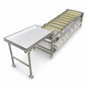 Machine de tri automatique de fruits commerciale avec convoyeur à rail PLC pour oranges et citrons - Product Image 1