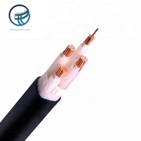 Kabel Daya Inti Tembaga Berisolasi PVC dari Produsen Profesional dengan Pelindung Karet, Tersedia Pilihan 2, 3, 4, dan 5 Inti