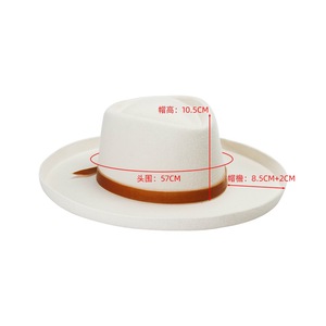 Wholesale New Hot Sale Resort Party Show Dress Luxury Pork Pie Fedora <strong>Hats</strong> 100% Wool Felt <strong>Hat</strong> for Women <strong>Lady</strong> <strong>Winter</strong> - Product Image 2