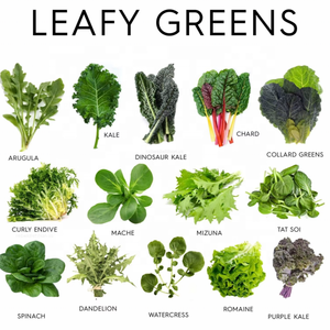 <span class=keywords><strong>2025</strong></span> Dọc Thiết Kế Thông Minh Chi Phí Thấp Nhà Kính Dọc Tháp Vườn Thủy Canh Phát Triển Hệ Thống Tự Động Tưới Nước Cho Bán - Product Image 2