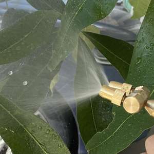 Pistolet pulvérisateur manuel de jardin en laiton avec interface de buse optionnelle, pression d'eau réglable et atomisation - Product Image 1