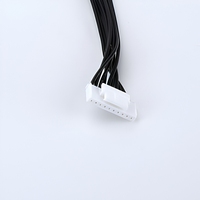 Harness Kabel Jumper Multi-Core Hitam Kustom dengan Konektor Plastik Putih Jantan ke Putih Betina untuk Papan Kontrol Elektronik