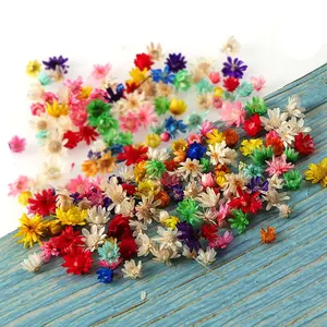 1Packet DIY Real Dried Flower Epoxy Resin Jewelry Craft Filling Nail Art Handicrafts Jewelry Casting Mold Making
