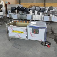 Automatische 800/1000-type aardappelwas- en schilmachine, zware borstelrolschiller, hoogrendements cassave schil- en wasmachine