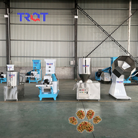 Nouvelle ligne de production de granulés pour animaux de compagnie (chats, chiens, poissons) – Extrudeuse d'aliments secs 500 kg/h, taille de granulés 1-12 mm