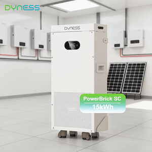 Batería de Litio para el Hogar IP20 LifeFo4 de 16 kWh, 51.2 V, 10 kWh, 15 kWh, Inversor Híbrido <span class=keywords><strong>Dyness</strong></span>, <span class=keywords><strong>BMS</strong></span> Inteligente - Product Image 6
