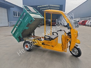 Tricycle électrique bon marché pour adultes sans <span class=keywords><strong>permis</strong></span> Cabine fermée Tricycle électrique pour cargaison avec <span class=keywords><strong>moto</strong></span> de toit - Product Image 4