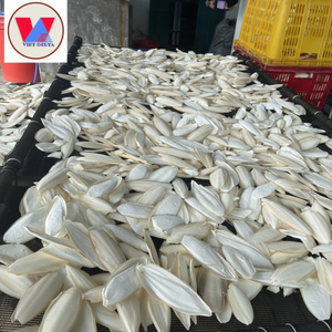 HUESOS SECOS DE SEPIA PARA MASCOTAS CALIDAD PREMIUM DE EXPORTACIÓN - Product Image 1