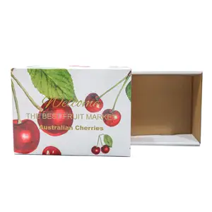 Carton ondulé de fruits robuste imprimé personnalisé de haute qualité emballage d'emballage de fruits frais en carton avec couvercle