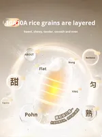 Autocuiseur à riz Mijia 4L IH 100% Original MFB17BM - Cuve intérieure en titane de 3 mm 1390W à pression variable Vente en gros MOQ 10 unités