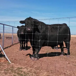 Poteau de clôture pour bovins de haute qualité clôture pour bovins cour pour bovins panneau de moutons fourniture de tracteur clôture de ferme