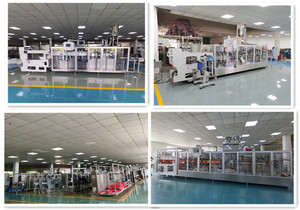 Máquina Automática de Envasado Horizontal HFFS para Bolsas Planas con Cierre, de Grado Alimenticio, Accionada por Motor - Product Image 6
