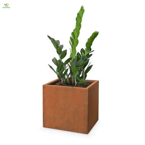 Vòng hình chữ nhật corten thép trồng 200x50x50 như lớn hiện đại Chậu hoa NGOÀI TRỜI, lớn lên giường vườn - Product Image 2