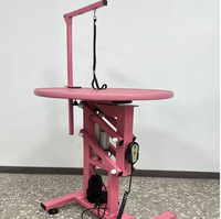 Table de toilettage pour animaux de compagnie à hauteur réglable électriquement, station de toilettage professionnelle pour chiens et chats, pour la maison, le salon, la clinique