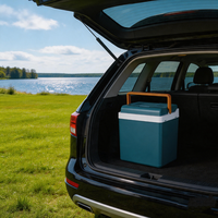 26L autokoelkast voor SUV 12V 24V halfgeleiderkoeling verwarming PU-schuim kamperen strand melk fruit