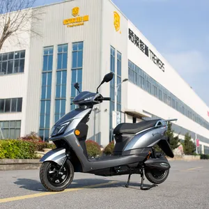 Fırçasız Motor Scooter satın Escooter Escooter Off road Electronique elektrikli scooter yetişkin için