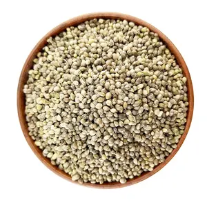 High Quality Natural Hemp Seeds for Oil Extraction/Industrial Hempseed Oil Barrel (Small Size)