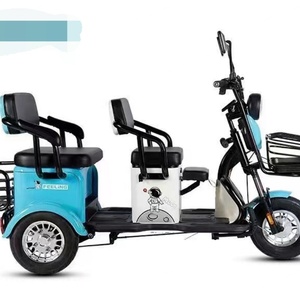 Triciclo Eléctrico Chino de 3 Ruedas para Adultos, 750W/500W, con Neumáticos Anchos, para Carga, Venta al por Mayor - Product Image 3