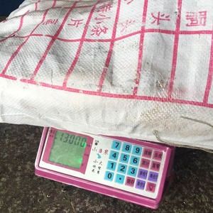 Đông Lạnh Mực Cá Đen Loligo opalescens Mực (Mực) Toàn Bộ Khổng Lồ Mực Giá Cho Philippines Thị Trường - Product Image 5