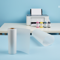 Offre Spéciale Film de Transfert Thermique DTF PET Double Face de Haute Qualité 60cm de Large, Encre Réfléchissante, Impression Numérique A3/A4 pour Vêtements