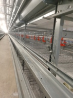 Cage à poulets de chair automatique ventilée, flux d'air uniforme, accélère la croissance des poulets de chair, élevage industriel, cage à poulets de type H
