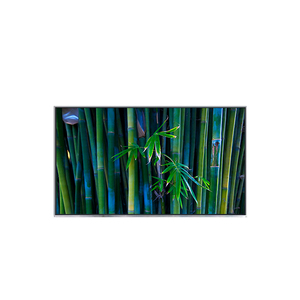 Écran tactile LCD TFT WLED bon marché B116XAT01.0, 11,6 pouces, 1366*768, écran LCD TFT de haute qualité - Product Image 1