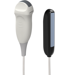 Draagbare Kleuren Doppler Veterinaire Echografie Diagnostisch Instrument Medische <span class=keywords><strong>Laptop</strong></span> Scanner 2-11MHz <span class=keywords><strong>Transducer</strong></span> 8-12 Uur Batterij - Product Image 2