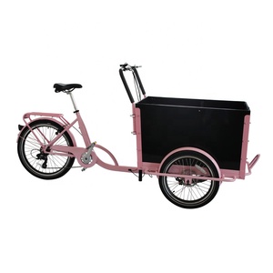 Bicicleta Eléctrica Familiar Holandesa Barata con Certificación CE, Estilo Europeo, Bicicleta Eléctrica <span class=keywords><strong>Enduro</strong></span> para Campamento, Bicicleta de Carga Familiar de 3 Ruedas, Bakfiet - Product Image 4