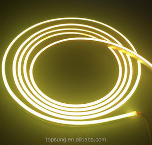 Großhandel RGB-Lichtleisten Diwali-Beleuchtung LED-Innenleuchte 12/24 Volt Neo Pixel LED Neonflex - Product Image 6