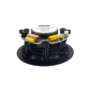 Thinuna-sistema <span class=keywords><strong>de</strong></span> <span class=keywords><strong>sonido</strong></span> para el techo, altavoz magnético Coaxial, GS-5L/6L/8L - Product Image 4