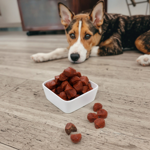 Pal's Delight fábrica de alimentos para mascotas al por mayor 100 g/bolsa de golosinas para perros de alta proteína sabor a carne de res suave y masticable salud digestiva para perros - Product Image 3