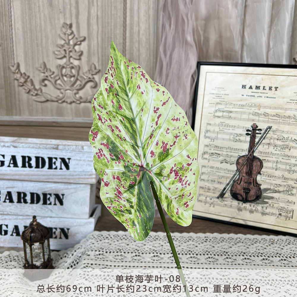 YM2-Single taro leaf-08