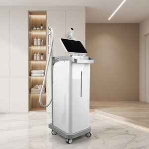 Nueva Actualización 2026, Máquina Láser Diodo 2 en 1 808, Láser Pico para Depilación Permanente, Eliminación de Pigmentos de Tatuajes, Rejuvenecimiento de la Piel - Product Image 2