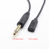 Câble adaptateur jack audio mono AUX mâle 6,35 mm vers type-c femelle 150 mm noir