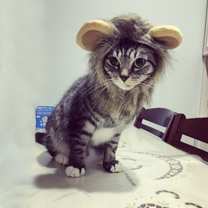 <span class=keywords><strong>Peluca</strong></span> de melena de León <span class=keywords><strong>con</strong></span> orejas, disfraz de lujo, <span class=keywords><strong>peluca</strong></span> de perro, sombrero, sombrero de <span class=keywords><strong>gato</strong></span>, León, pelo, artículos para mascotas, venta al por mayor - Product Image 3