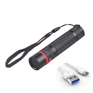 Portable C Type Cable Quick Charge Black Light Torch Ultra Bright 5W Amber Stone Detector USB 365nm UV LED Flashlight