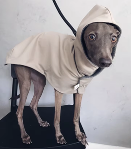 Fabricant <span class=keywords><strong>de</strong></span> vêtements <span class=keywords><strong>pour</strong></span> animaux <span class=keywords><strong>de</strong></span> compagnie design <span class=keywords><strong>de</strong></span> mode personnalisé imperméable et coupe-vent <span class=keywords><strong>pour</strong></span> chien - Product Image 2