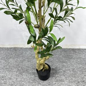 Olivier de créateur 4 pieds 5 pieds 6 pieds 7 pieds Jardinière minimaliste de verdure architecturale pour affichage intérieur et extérieur - Product Image 2