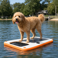 Rampe gonflable portable pour chien, ponton flottant pour l'extérieur, pour les distributeurs de détail et le soutien à la recherche de canaux commerciaux