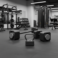 Ensemble d'haltères/kettlebells/barres d'haltères réglables en acier/fer à repasser carré détachable 3 en 1, réglage rapide pour une utilisation à domicile