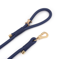 Produit populaire sur TikTok pour animaux de compagnie, laisse en polyester pour gros chiens, laisse de haute qualité avec boucle dorée, laisse de chien tendance, laisses pour animaux de compagnie