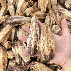 ของเล่นนกแก้วผลไม้อบแห้งธรรมชาติ, ของเล่นสำหรับนกกัดแทะ, ถั่วป็อปลาร์, กระเจี๊ยบเขียว, โคนสนแห้ง, ของเล่นสัตว์เลี้ยงขนาดเล็ก - Product Image 3