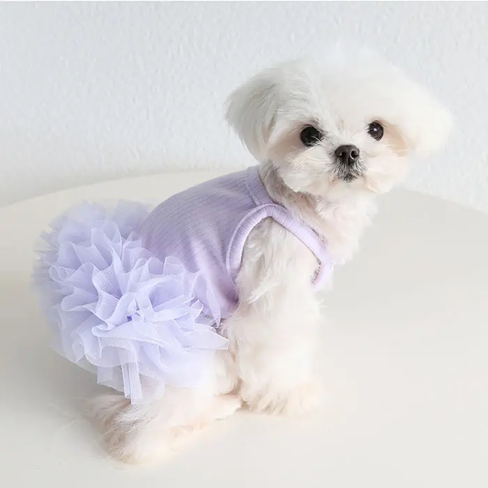 2024 nuovo elegante abito in filato per cani primavera estate abito sottoveste per animali domestici
