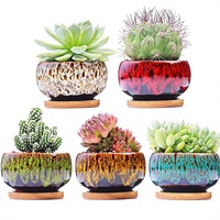 Jolies jardinières en céramique pour plantes succulentes, finition craquelée, en forme de tasse à thé, avec drainage et soucoupe en bambou