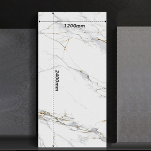 Losa de Piedra Sinterizada con Textura Dorada Clásica de Piel de Pez, Pulida, para Cubierta de Mesa, Piedra Sinterizada para Decoración de Paredes de TV y Hogar - Product Image 4